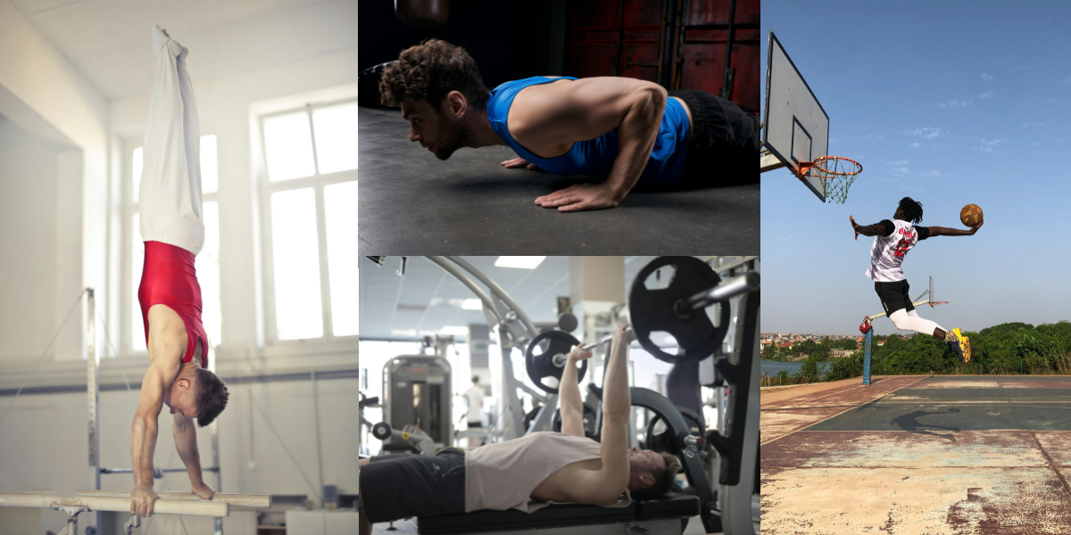 FISIOLOGÍA DEL MÚSCULO ESQUELÉTICO (4ª PARTE): LOS TIPOS DE CONTRACCIÓN&nbsp;MUSCULAR