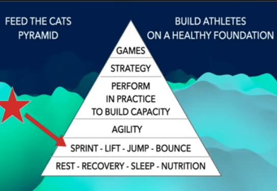 LA PIRÁMIDE DEL ENTRENAMIENTO DE LA VELOCIDAD Y LA&nbsp;FUERZA