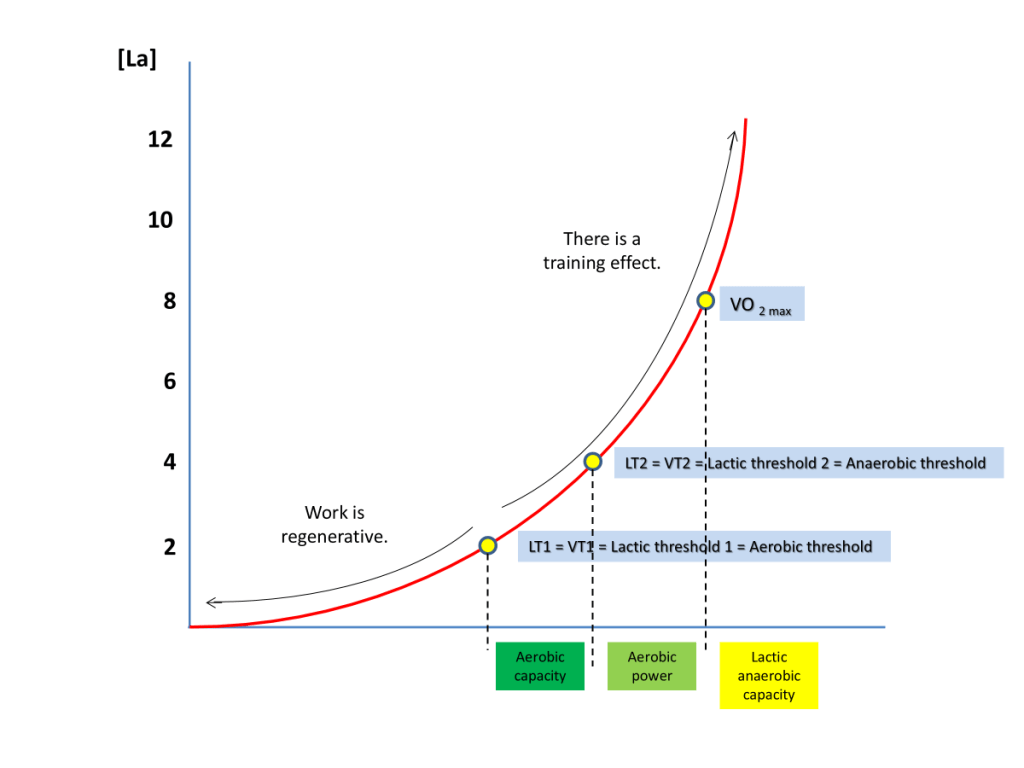 THE RELATIONSHIP BETWEEN LACTATE CONCENTRATION AND EXERCISE&nbsp;INTENSITY