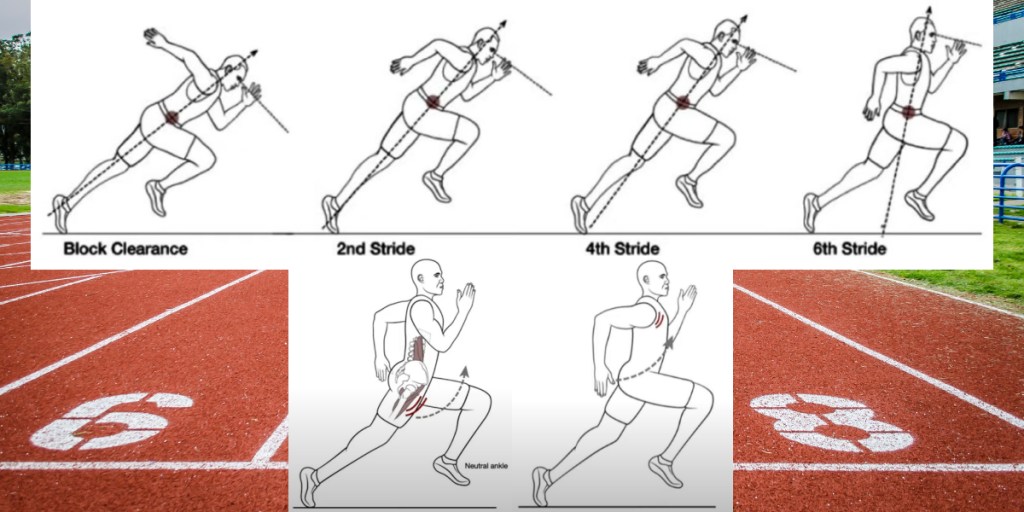 CÓMO CORREGIR LOS ERRORES EN LA MECÁNICA DE LA SALIDA DE TACOS, LA ACELERACIÓN Y LA VELOCIDAD&nbsp;MÁXIMA